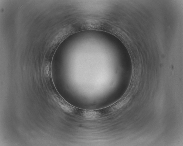 X0000068270336200604211116