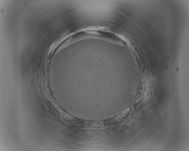 X0000068270337200604211116