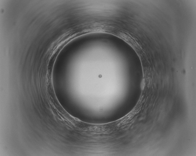 X0000068270338200604211116