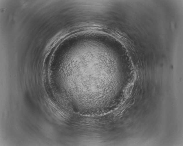 X0000068270339200604211116