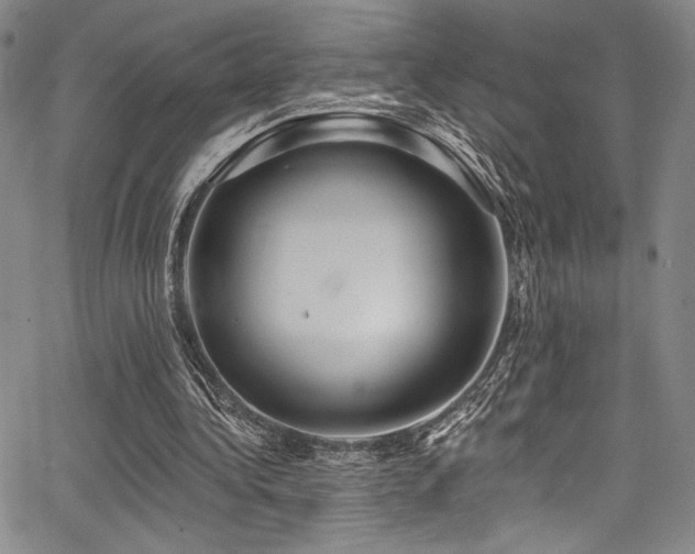 X0000068270340200604211116