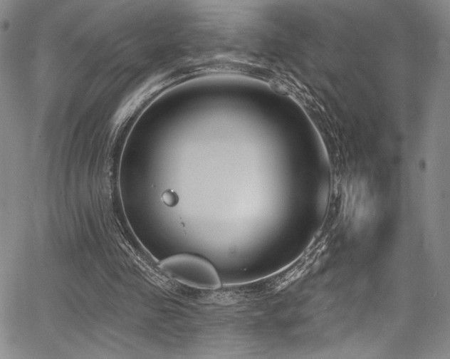 X0000068270341200604211116