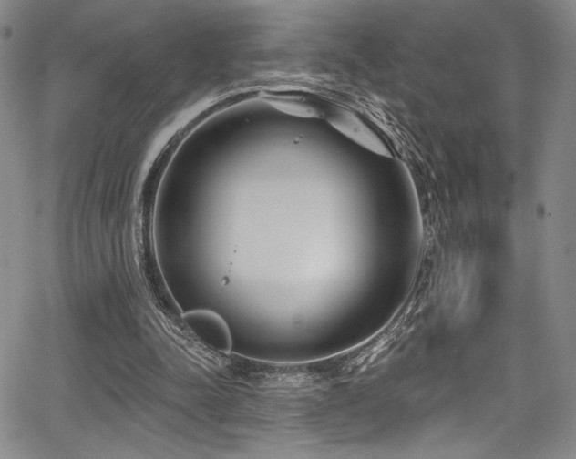 X0000068270342200604211116