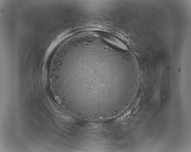 X0000068270343200604211116