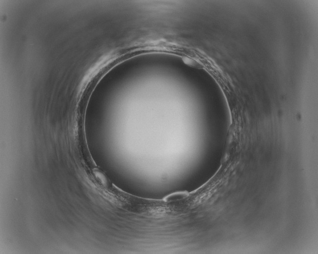 X0000068270344200604211116