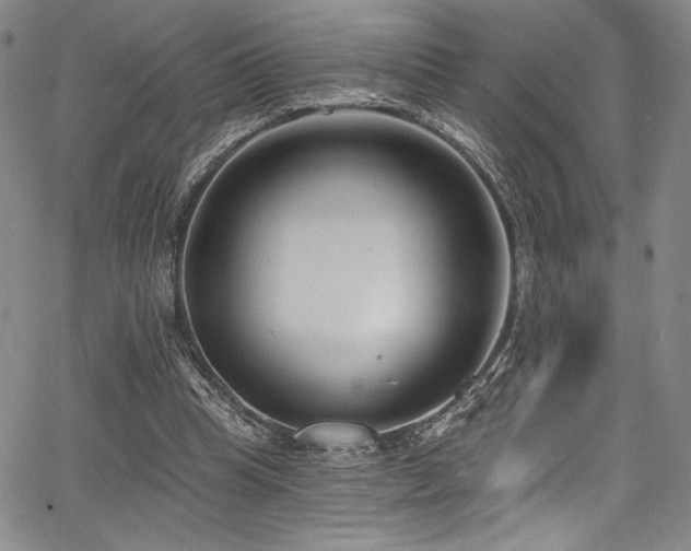 X0000068270345200604211116