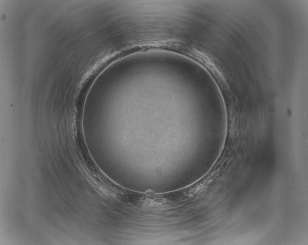 X0000068270346200604211116