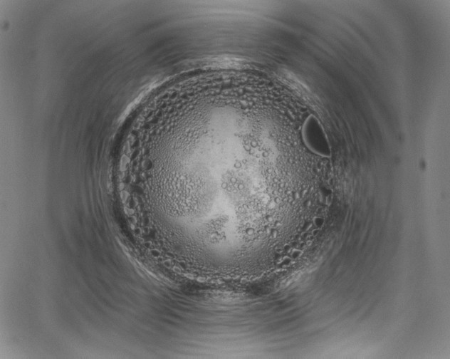 X0000068270347200604211116