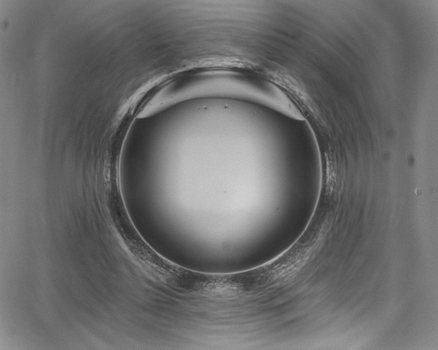 X0000068270348200604211116