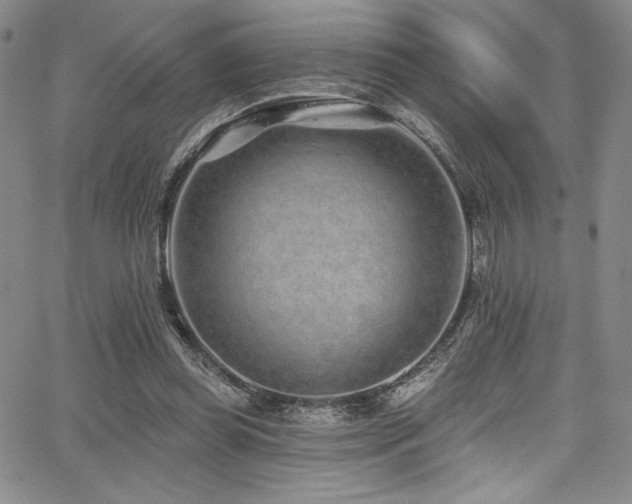 X0000068270349200604211116