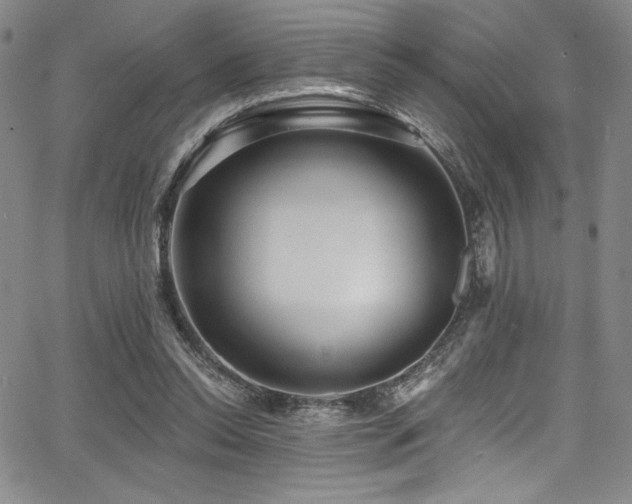 X0000068270350200604211116