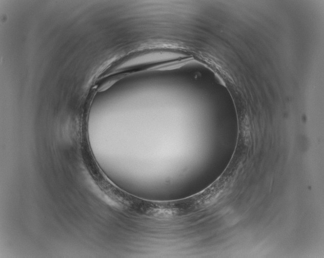 X0000068270352200604211116