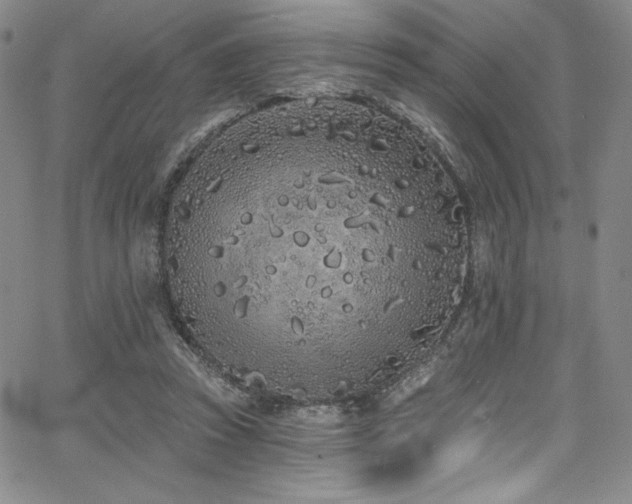 X0000068270353200604211116