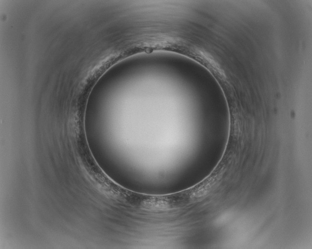 X0000068270354200604211116