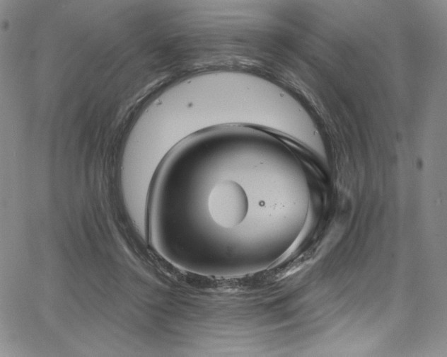 X0000068270356200604211116