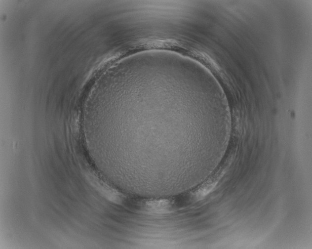 X0000068270357200604211116