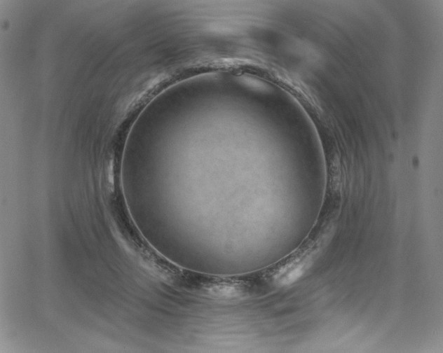 X0000068270358200604211116