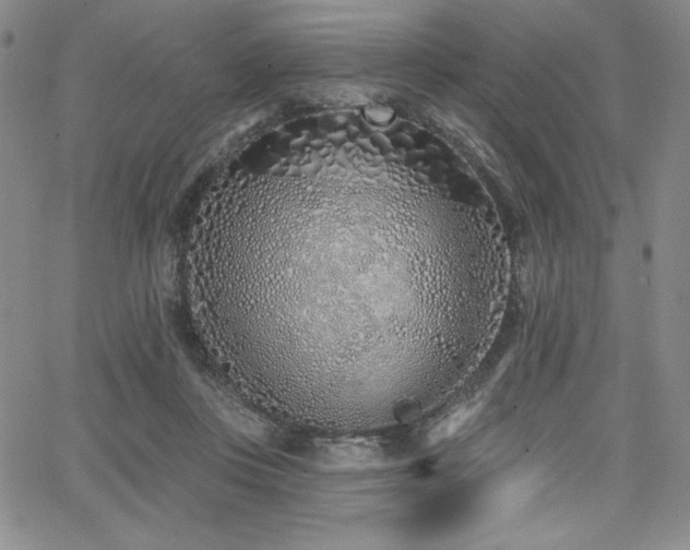 X0000068270359200604211116