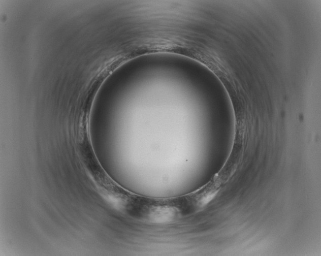 X0000068270360200604211116