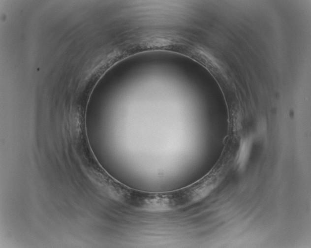 X0000068270362200604211116