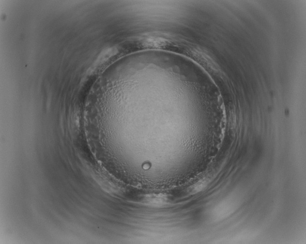 X0000068270363200604211116