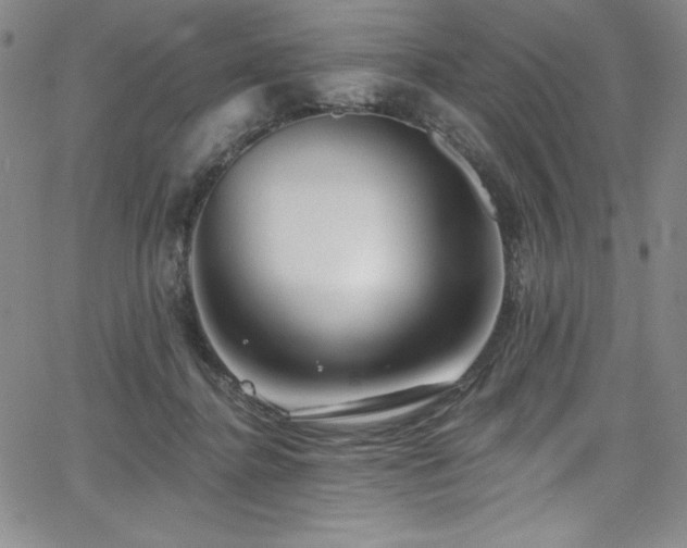 X0000068270364200604211116