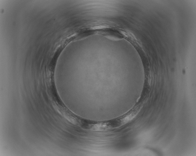 X0000068270366200604211116