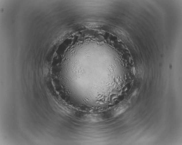 X0000068270367200604211116