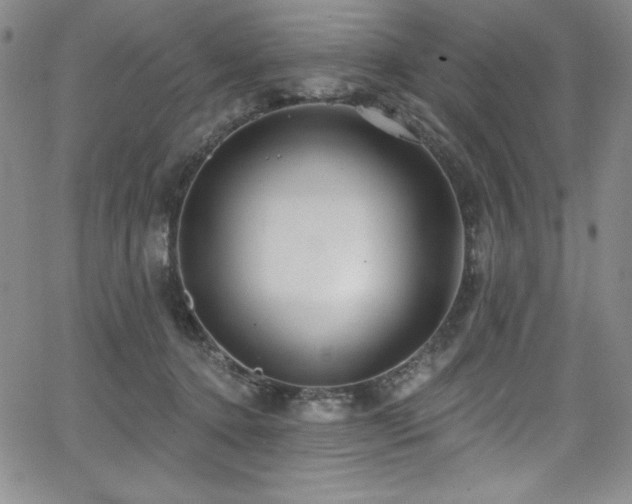 X0000068270368200604211116