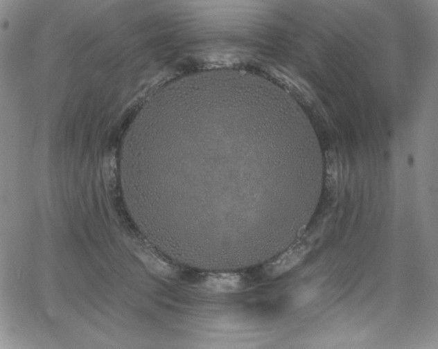 X0000068270369200604211116