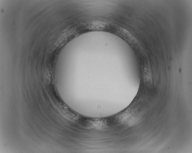 X0000068270370200604211116