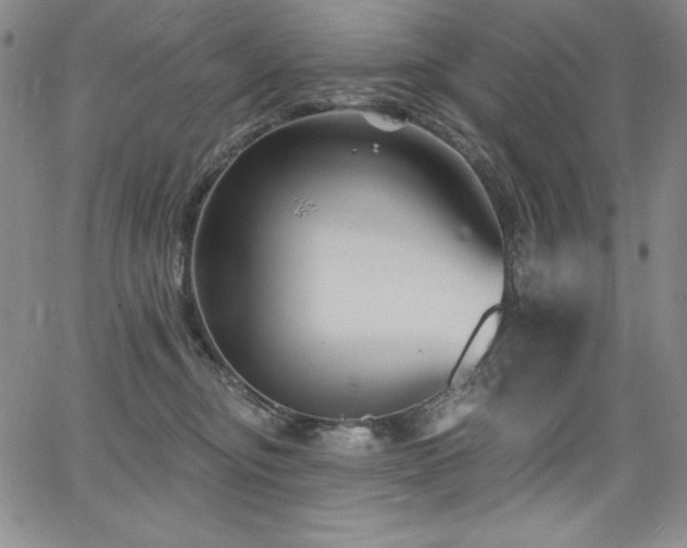 X0000068270374200604211116