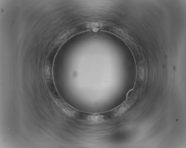 X0000068270375200604211116