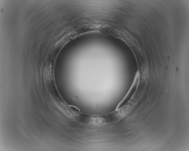 X0000068270376200604211116