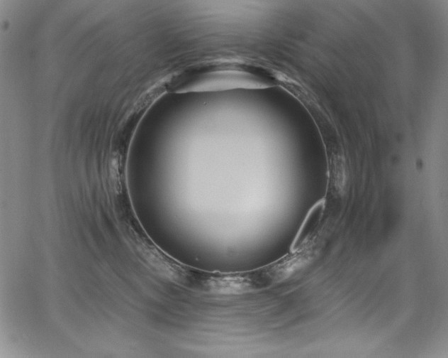 X0000068270378200604211116