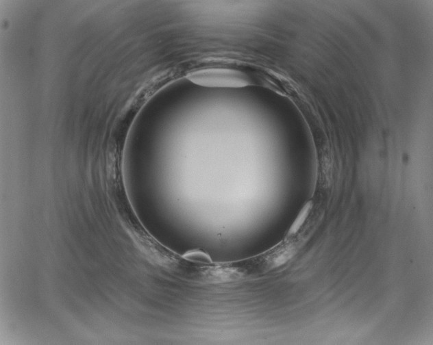 X0000068270379200604211116