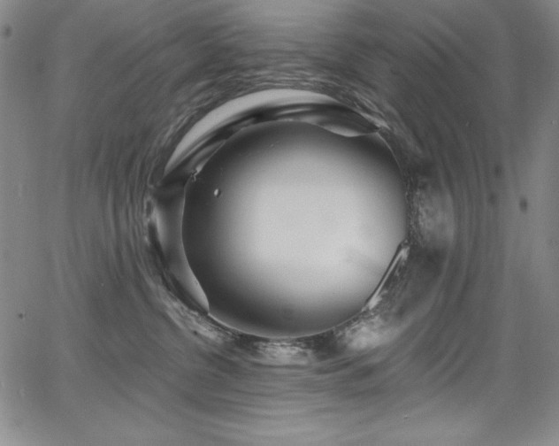 X0000068270380200604211116