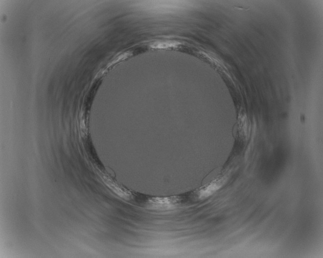 X0000068270381200604211116