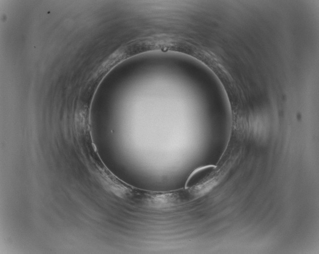 X0000068270382200604211116