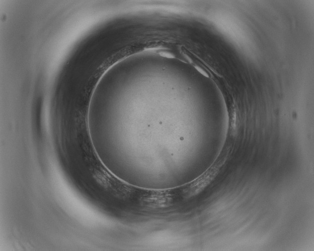 X0000068270383200604211116