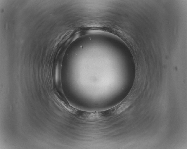 X0000068270384200604211116