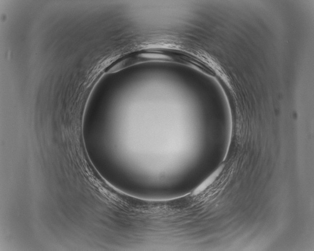 X0000068270385200604211116