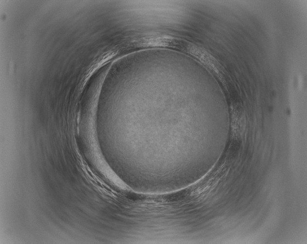 X0000068270386200604211116