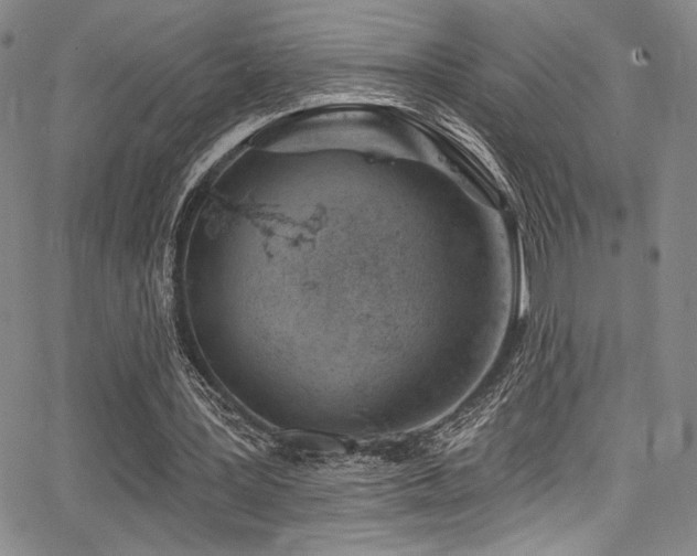 X0000068270387200604211116