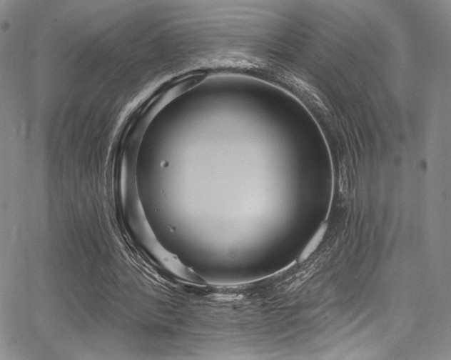 X0000068270388200604211116