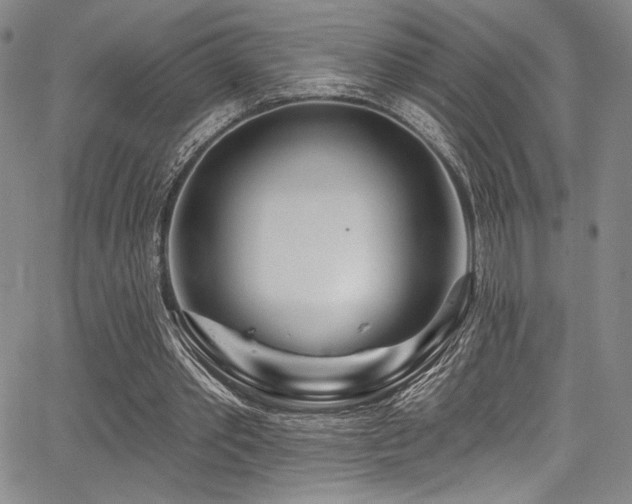 X0000068270389200604211116