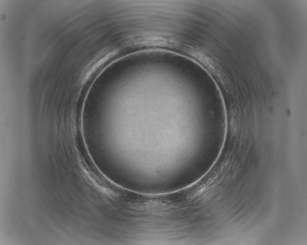 X0000068270390200604211116