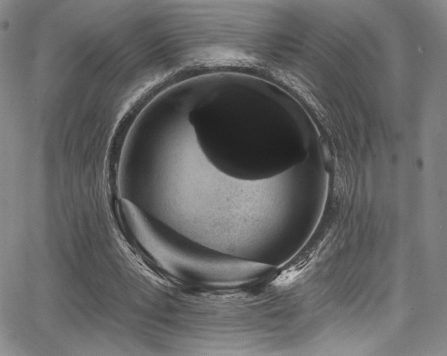 X0000068270391200604211116