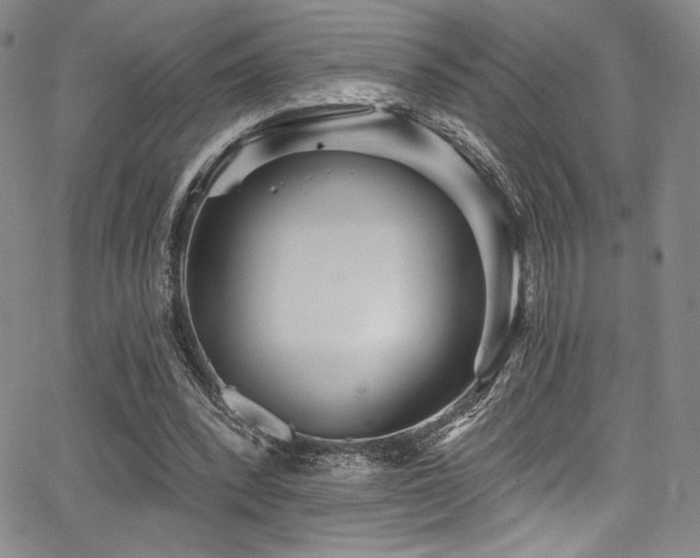 X0000068270392200604211116