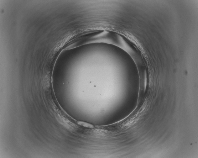 X0000068270393200604211116